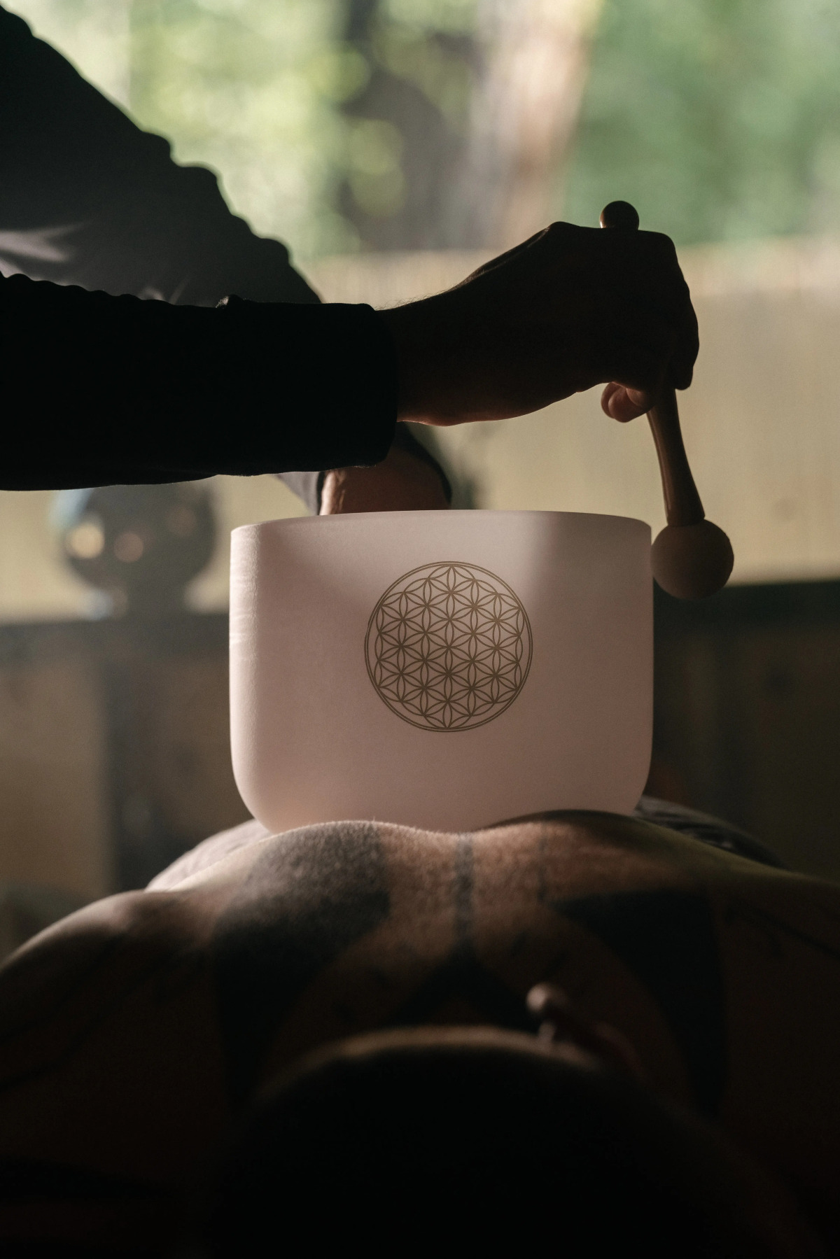 Отель Чепош Парк