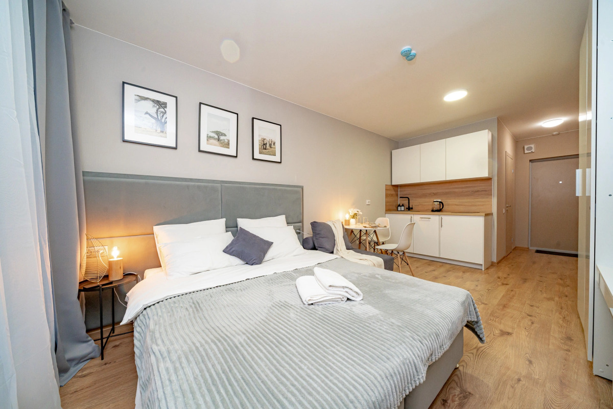 Квартира у метро Парнас 706