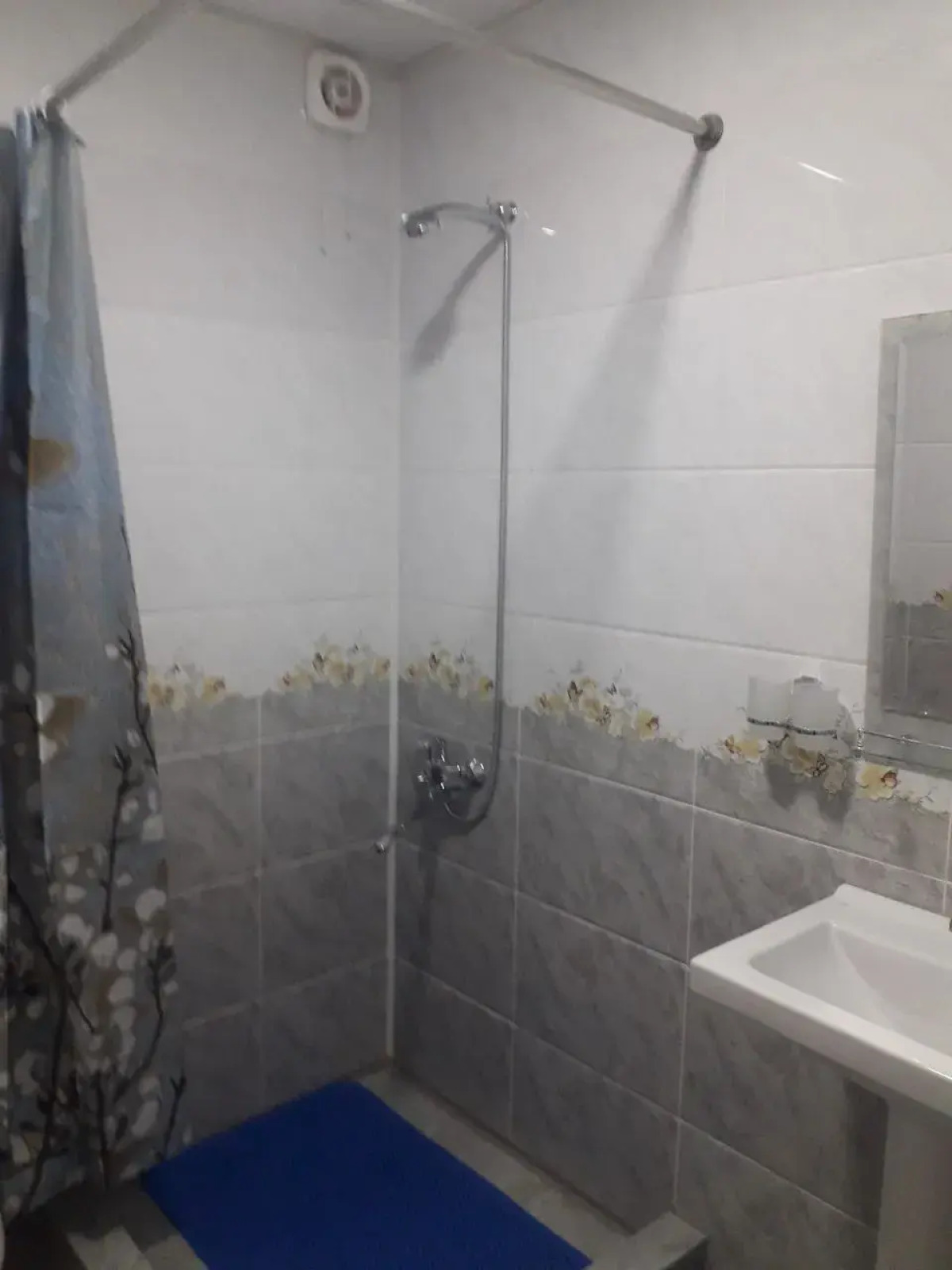 Гостевой дом Allanazar Ota