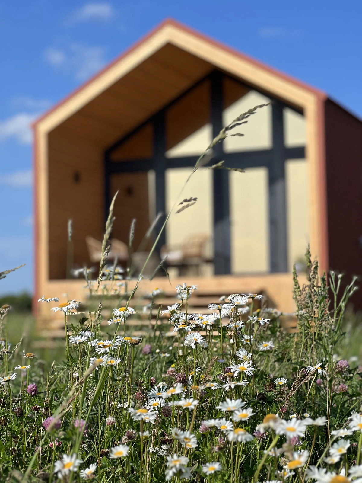 Гостевой Дом Дом и Ферма