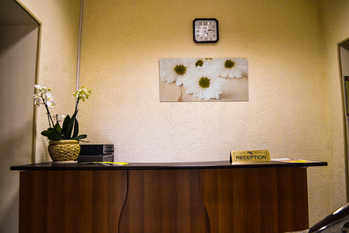 Хостел Ромашка