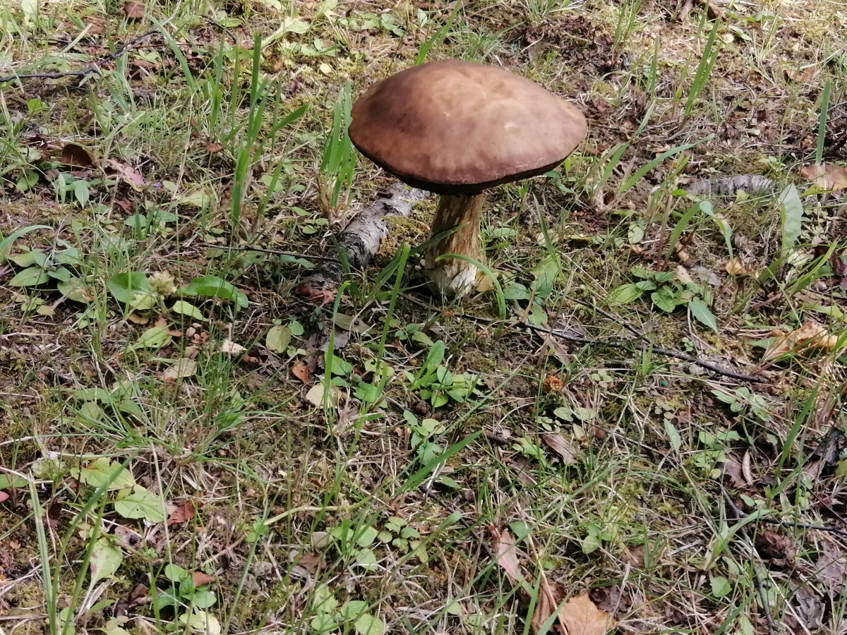 Гостевой дом Окулова Заимка