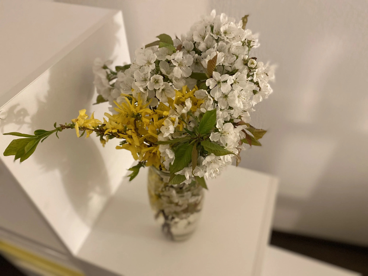 Квартира Морской курорт