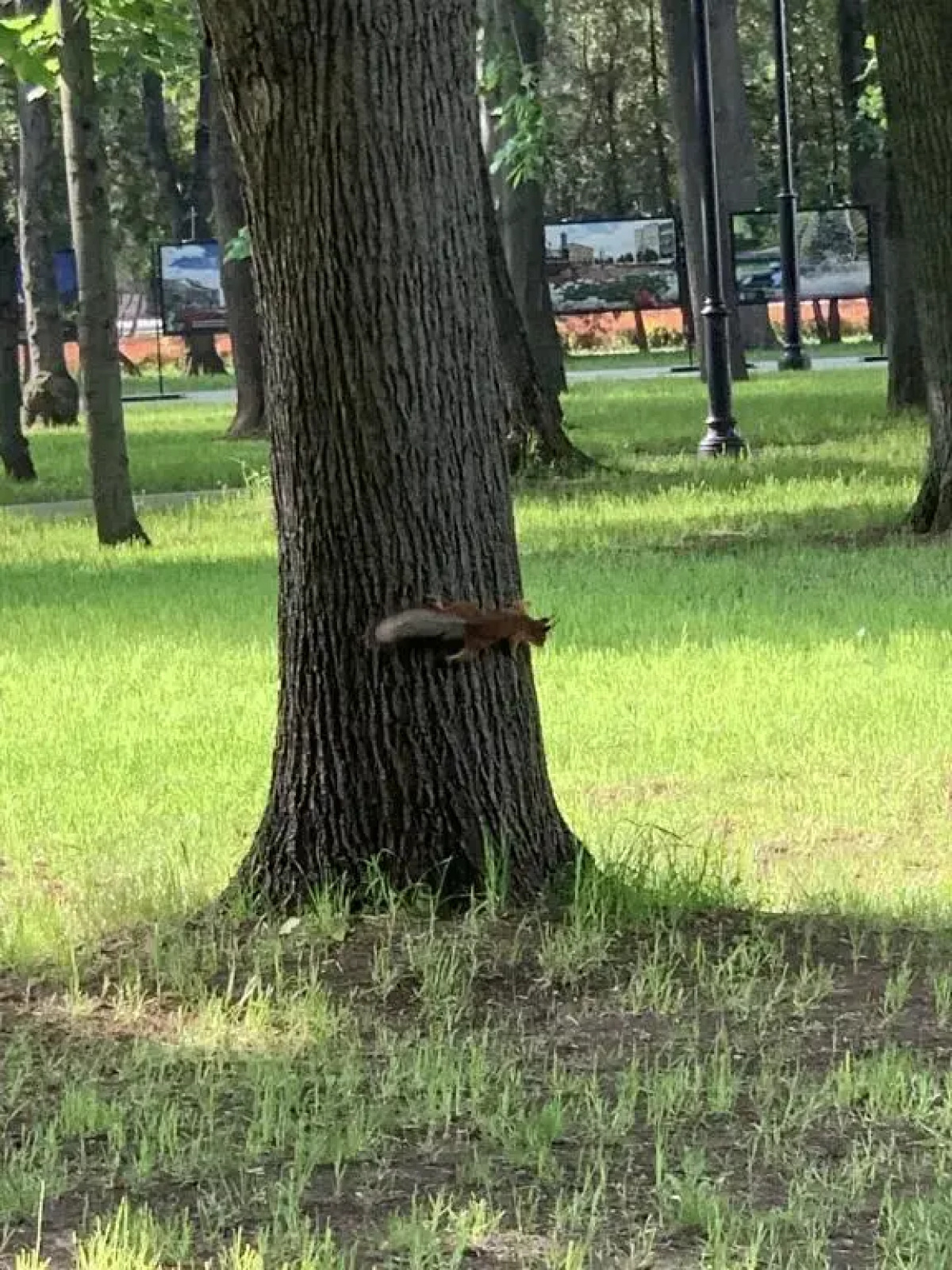 Апартаменты Причал 5