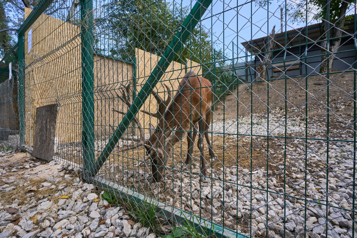 База отдыха Белла