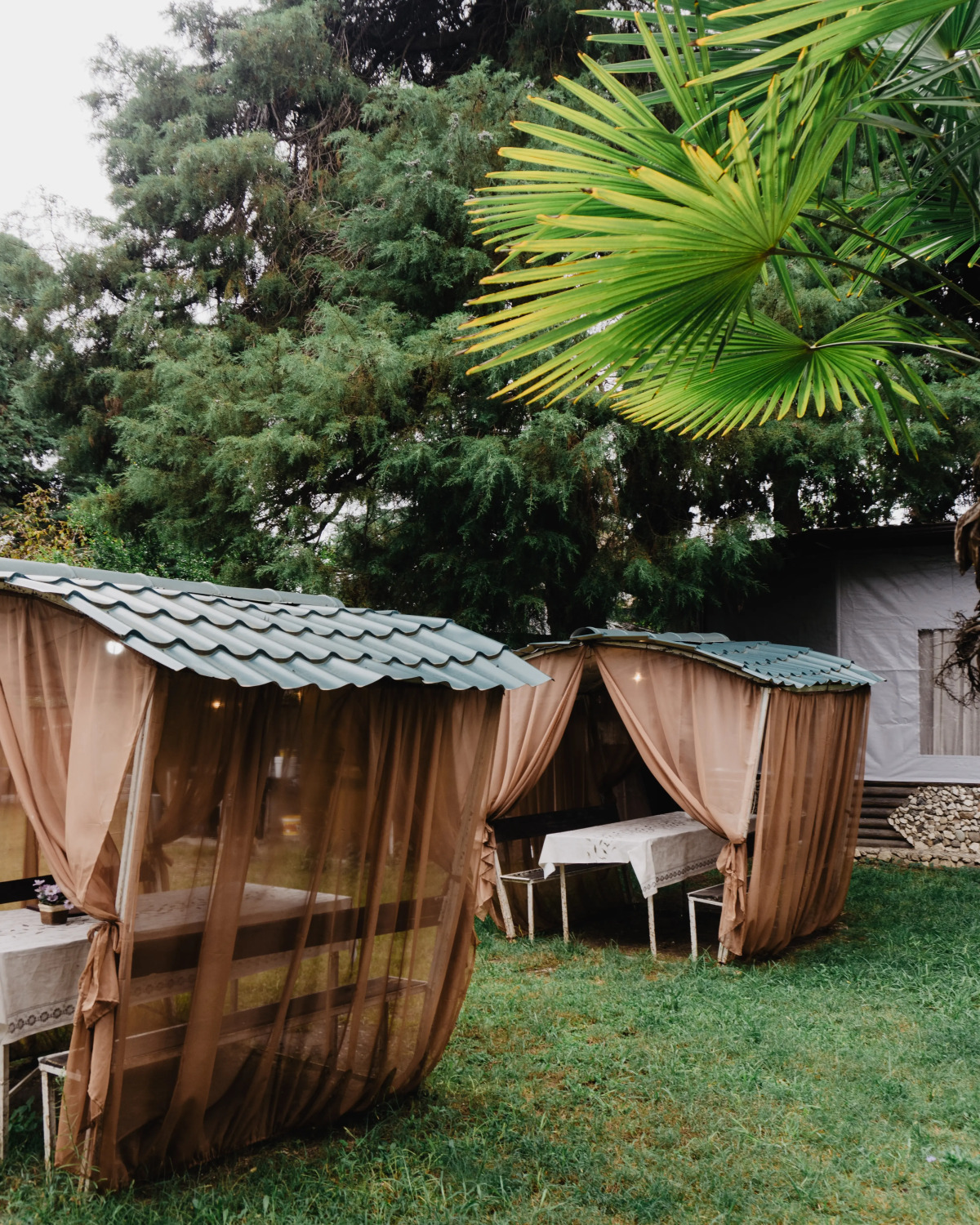 Отель Пицунда