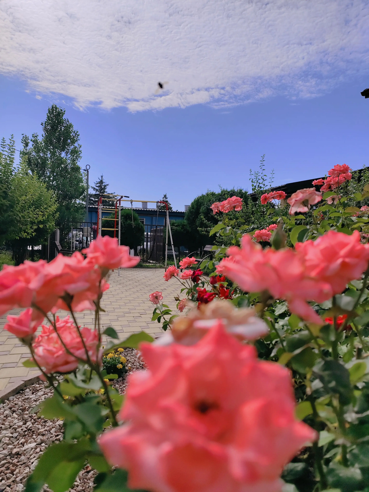 База отдыха Парк-Отель Благовещенка