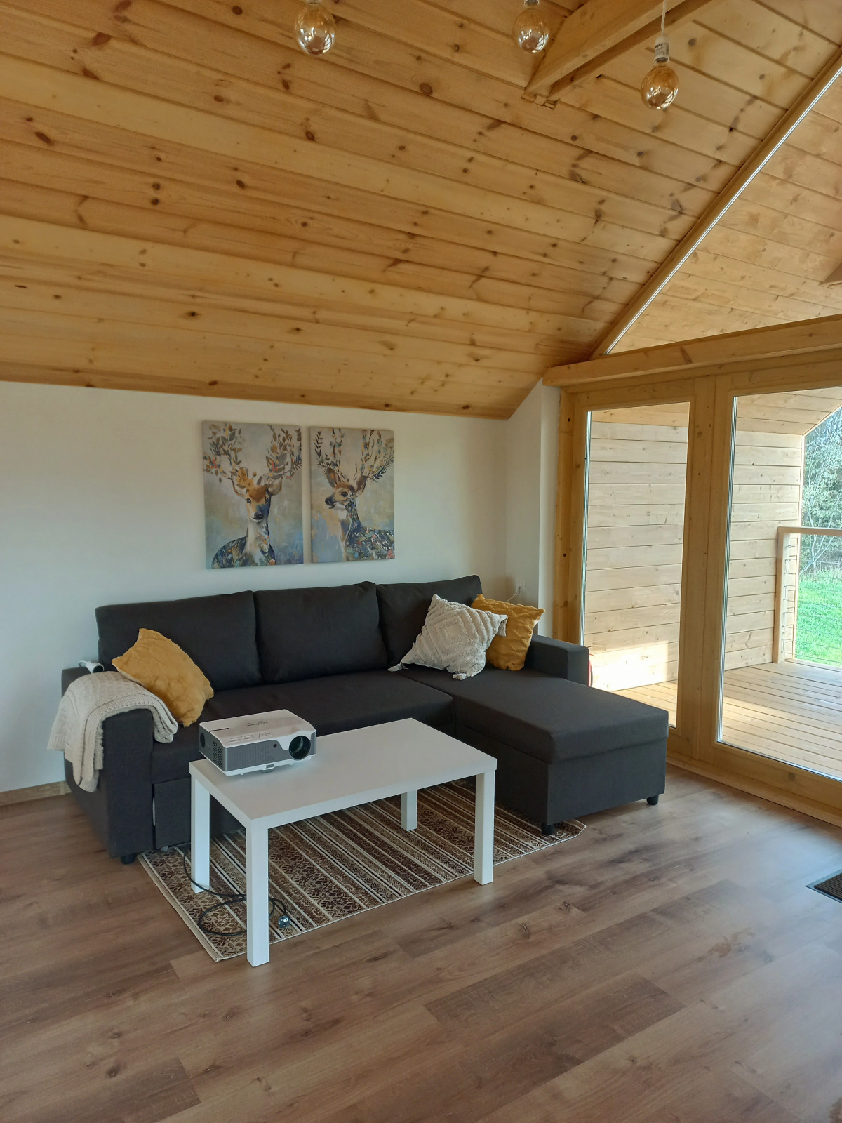 Мини-Отель Домотканово