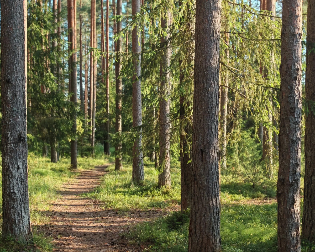 Частный Дом для отдыха на Селигере