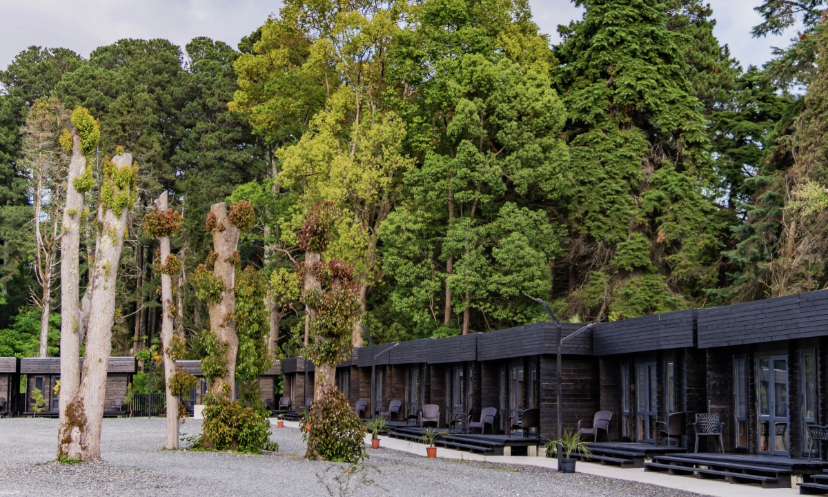 Отель Green Park