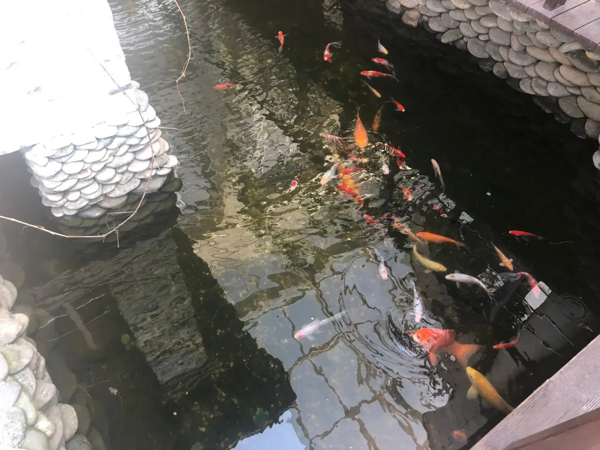 Отель Бельведер