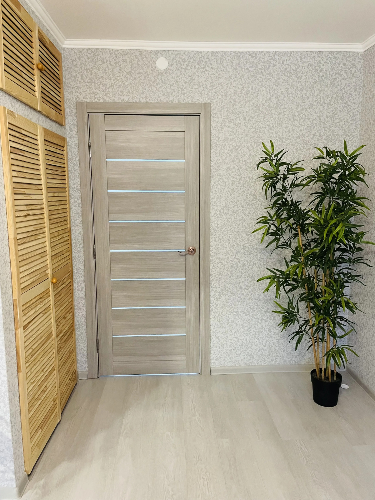 Квартира Двушка в Центре с Видом на Поганкины палаты