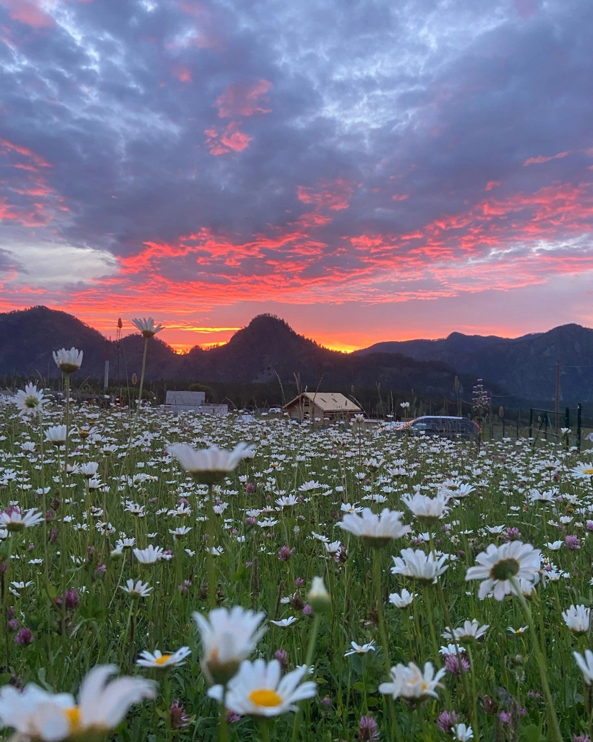 Гостевой дом Ptich&Co