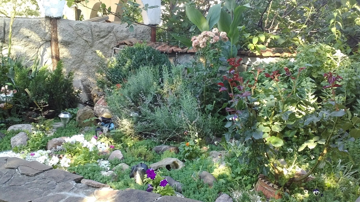 Гостевой дом Вита