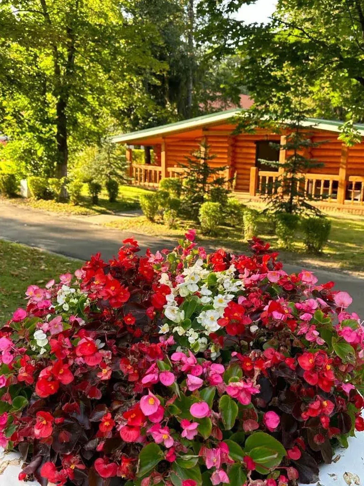 Санаторий Красный Холм