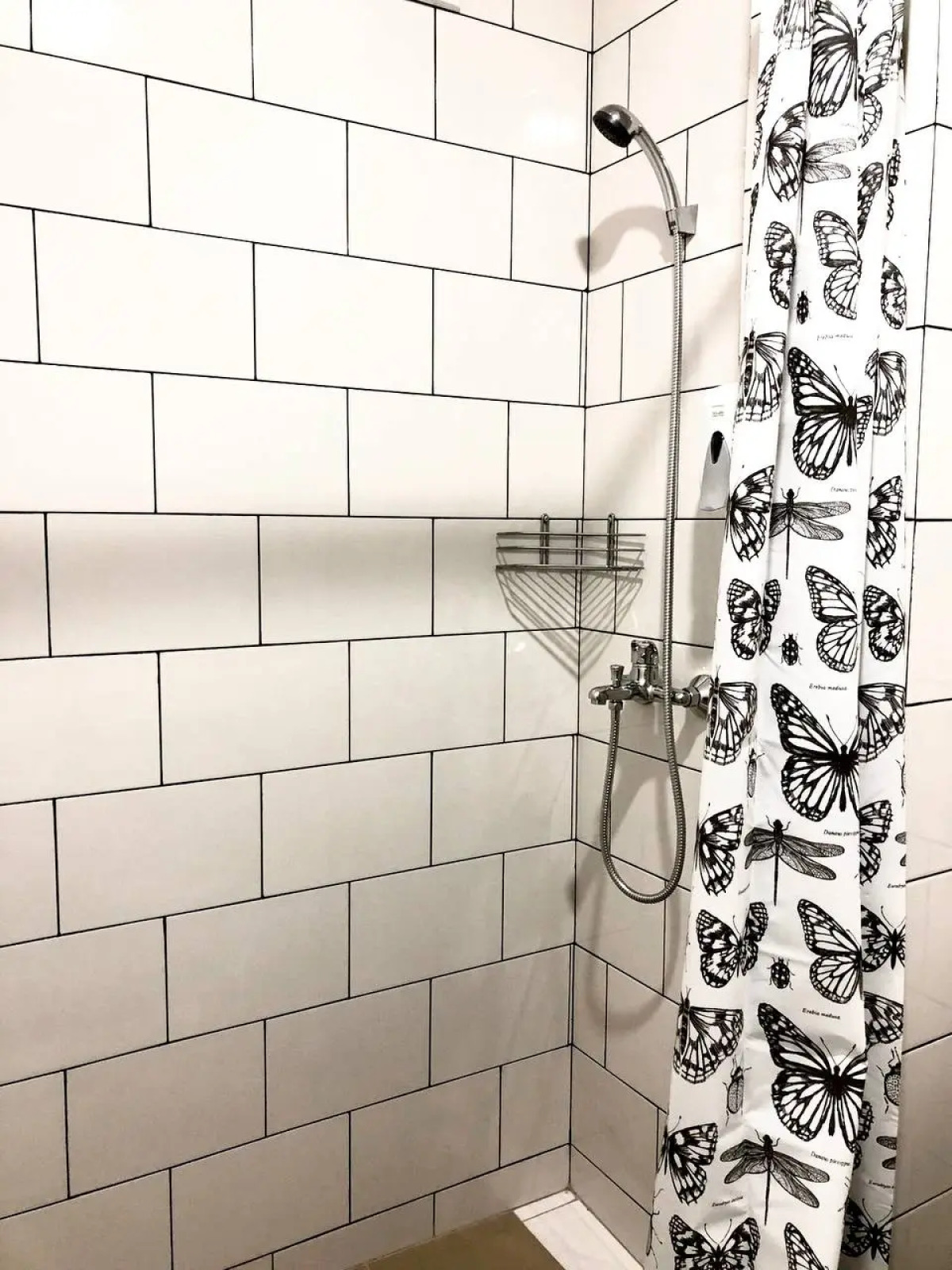 Гостевой дом Дельфин