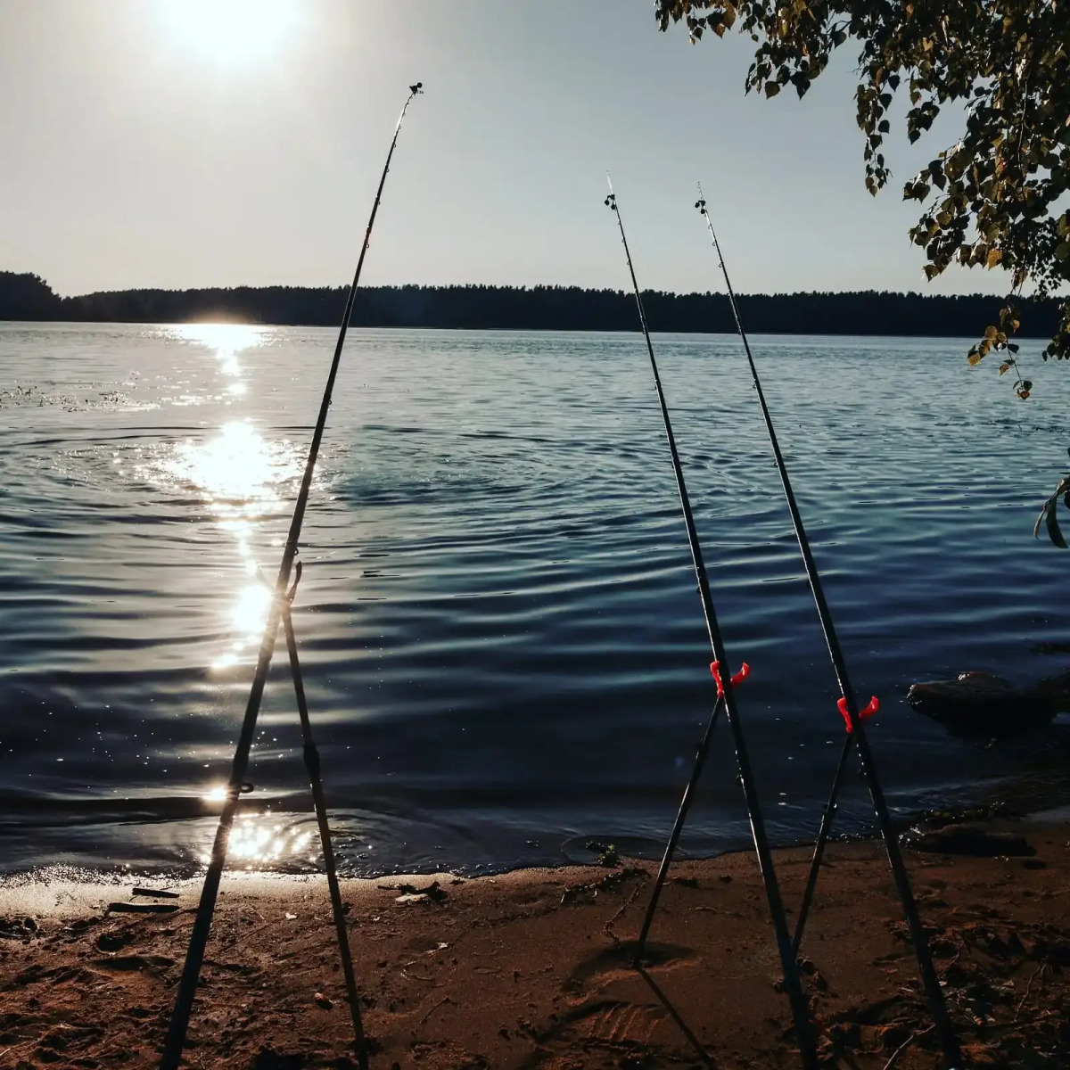 Гостевой Дом Круча на Волге