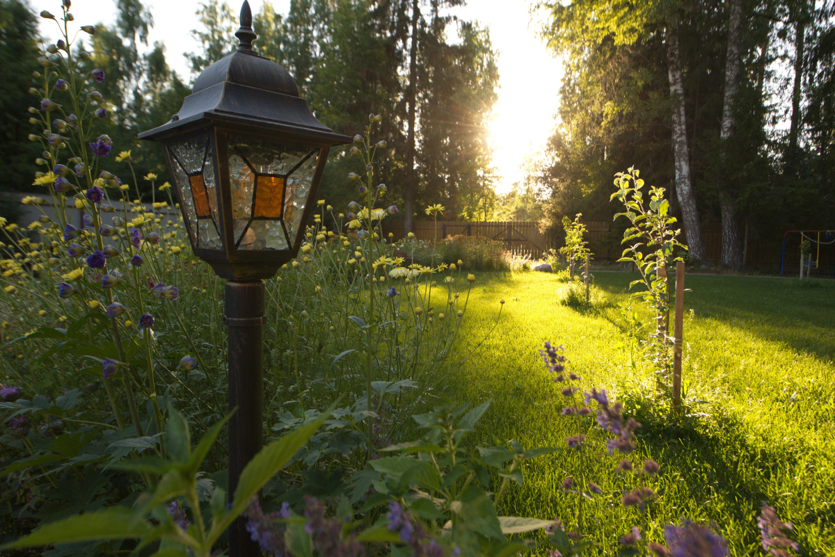 Гостевой Дом Вырицкий Мамонт