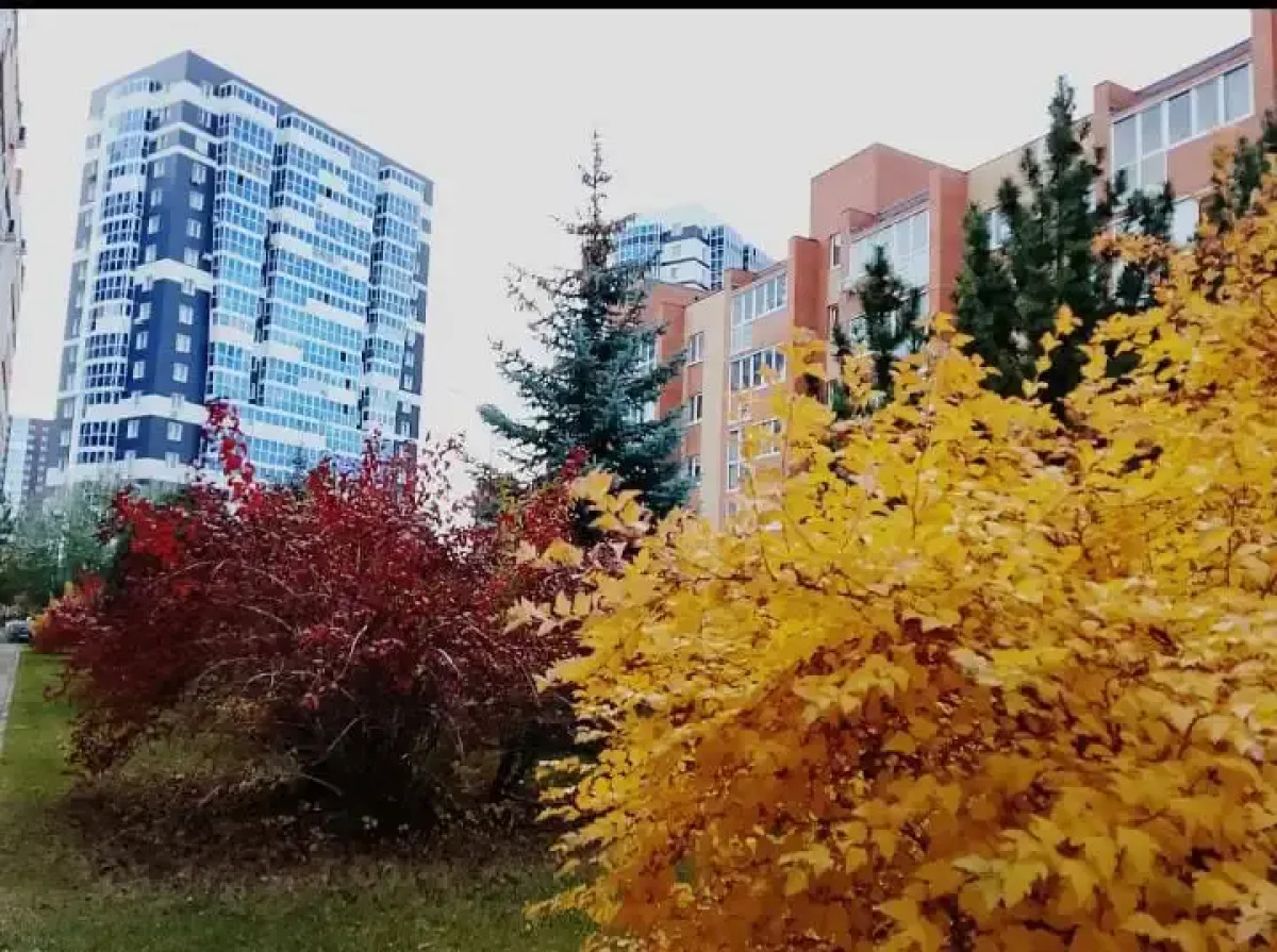 Апартаменты Студия в ЖК Южный парк