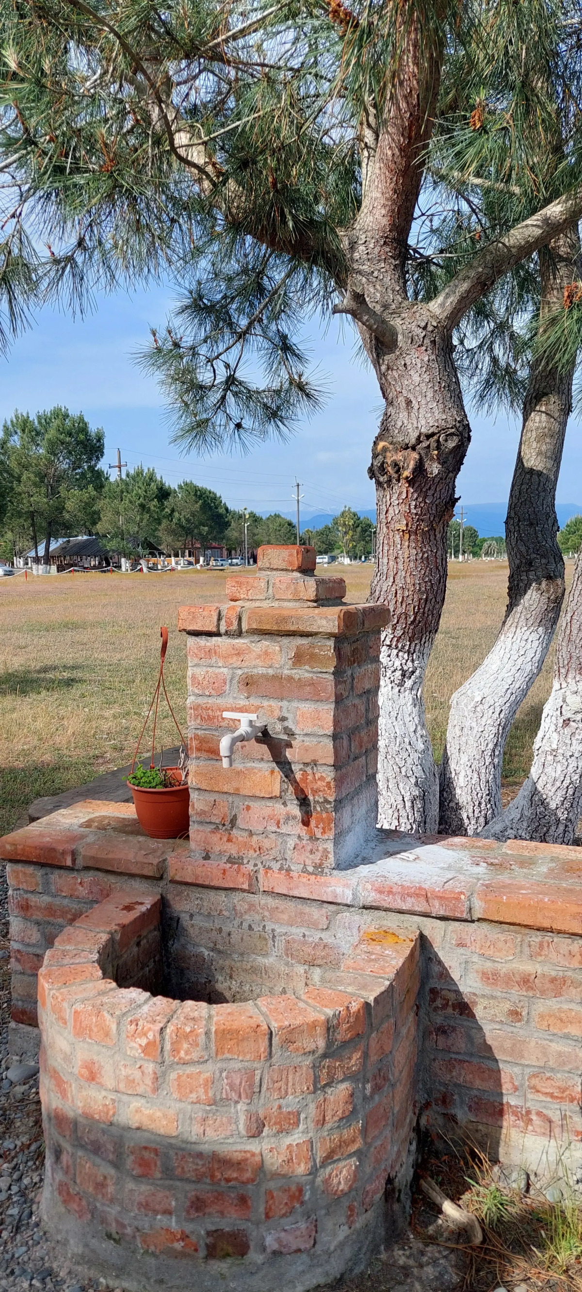 Курортный отель Сосновый Бор