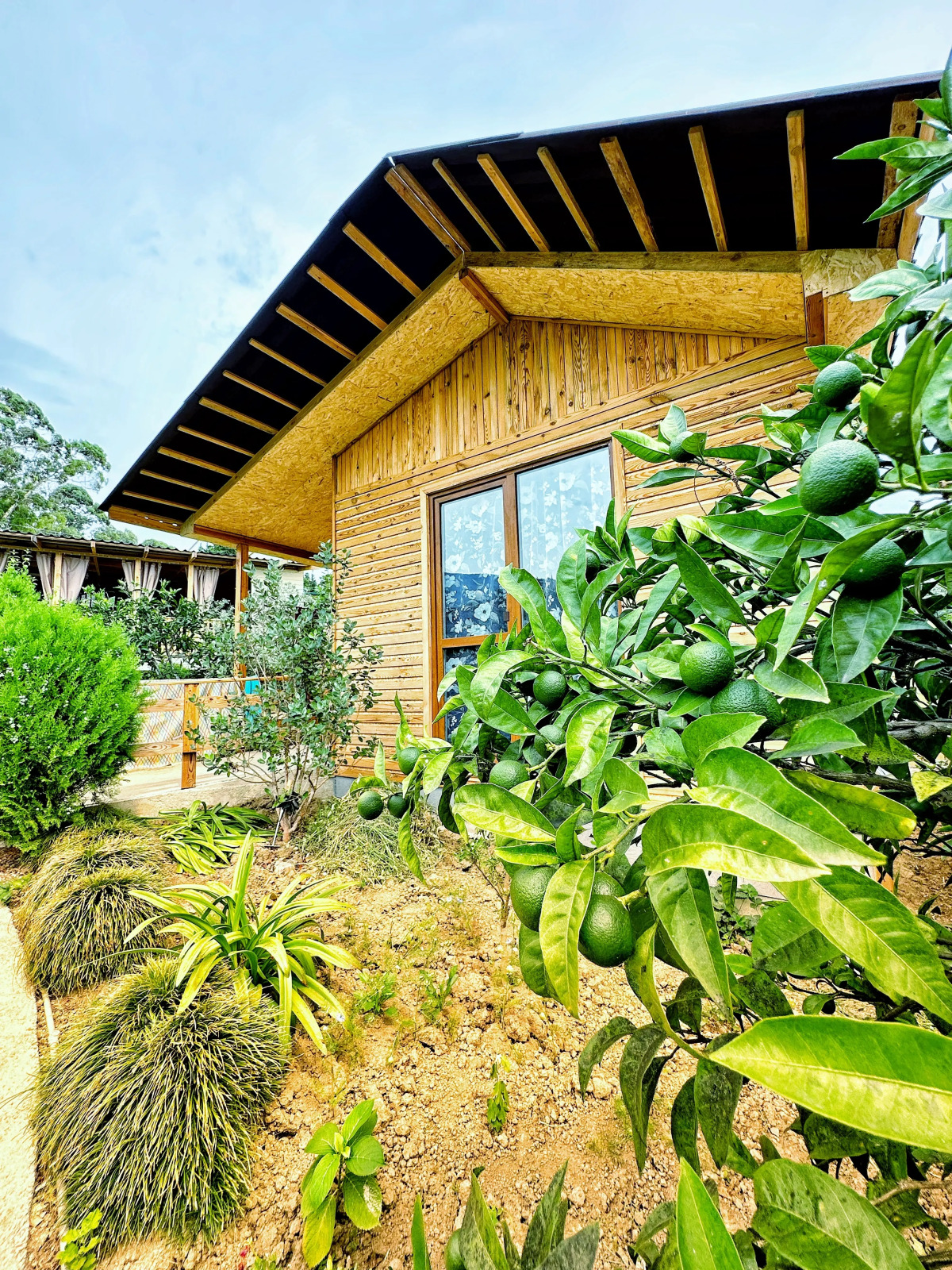 Гостевой Дом Афалин