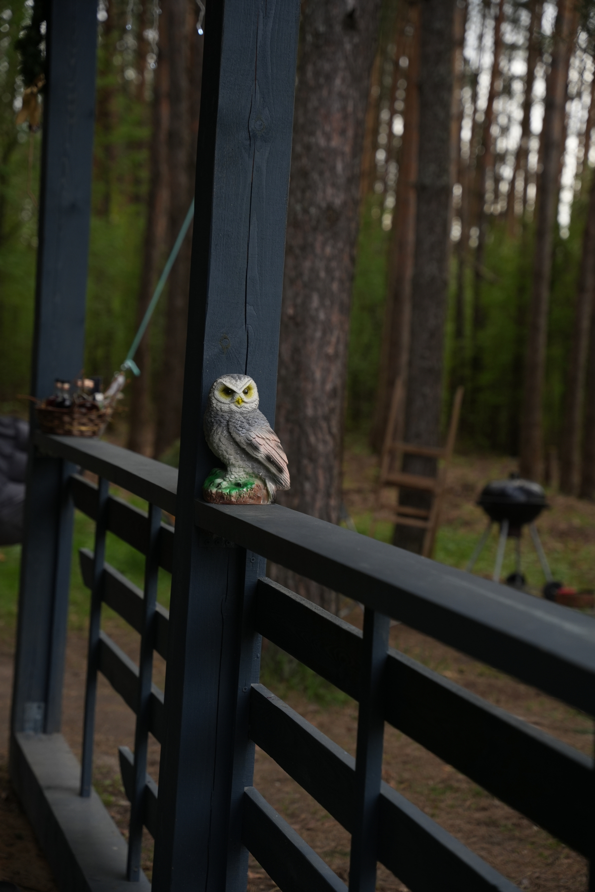 Частный дом Сова - Эко дом с чаном