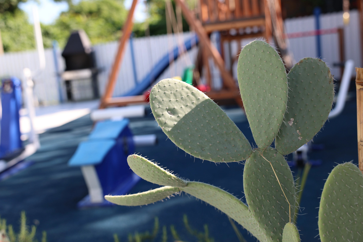 Гостевой Дом Алиса, привет