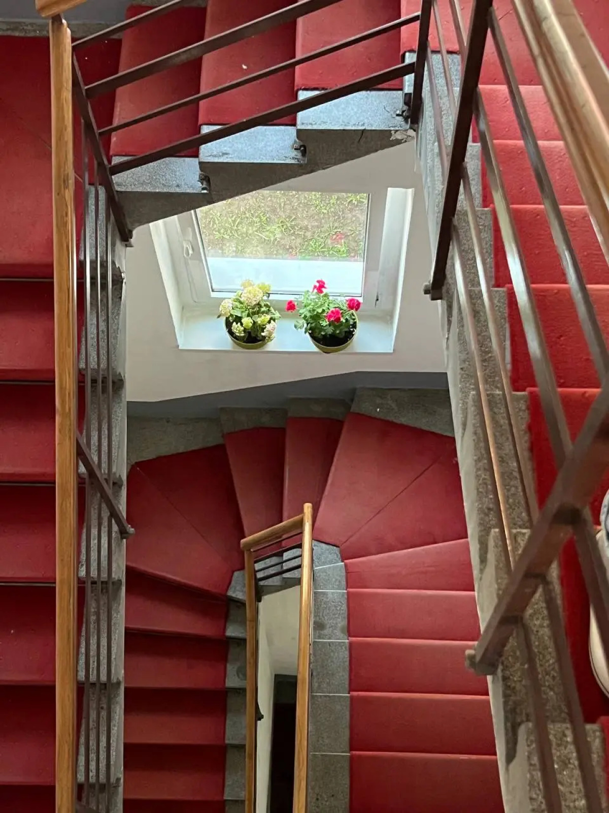 Хостел Cabbage Hostel