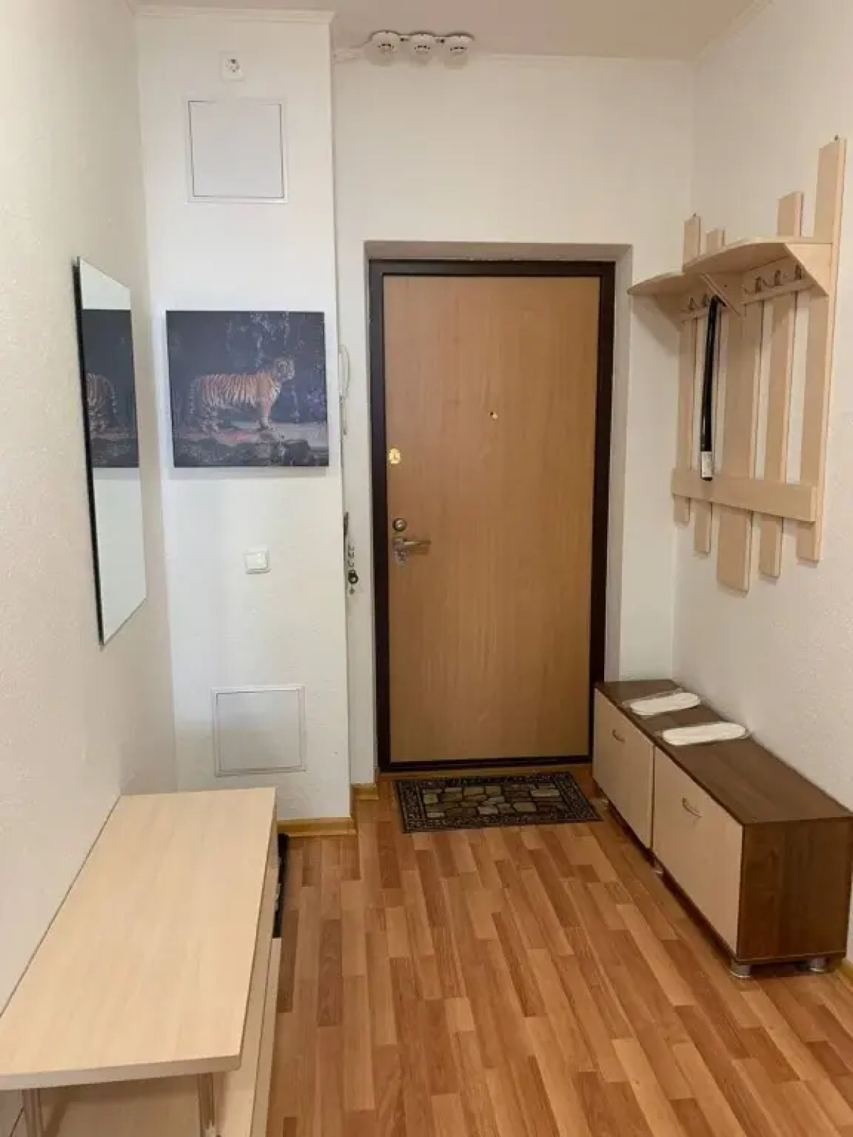 Апартаменты Домашний Уют на Шейнкмана 88