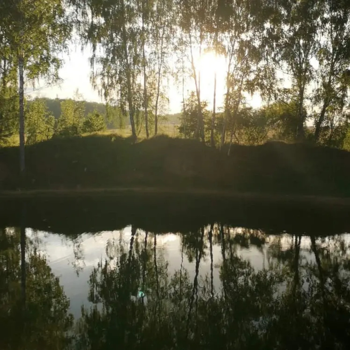 Бунгало МестоКлёва