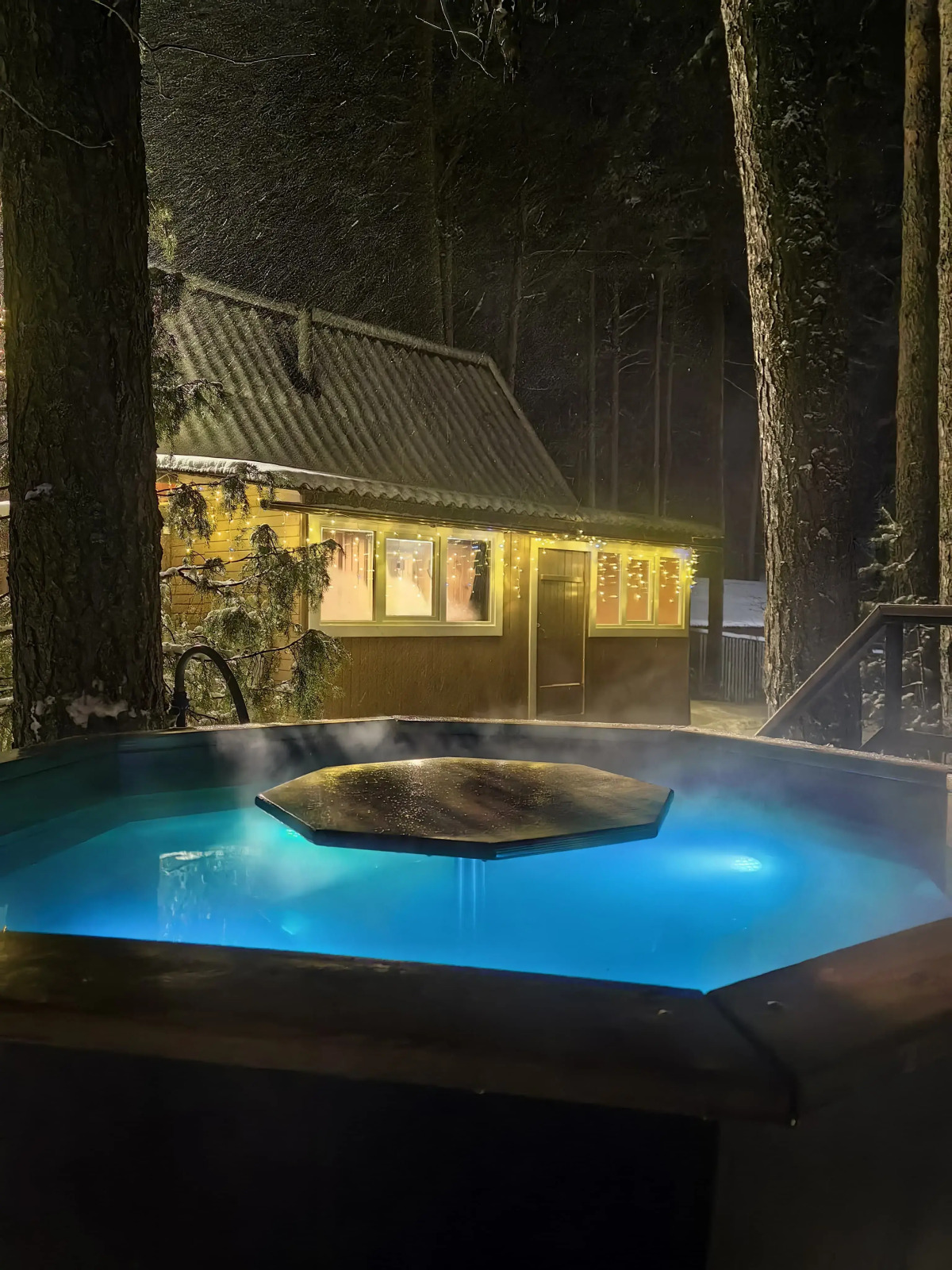 Коттедж с баней в сосновом бору у озера, рядом с турбазой Чайка