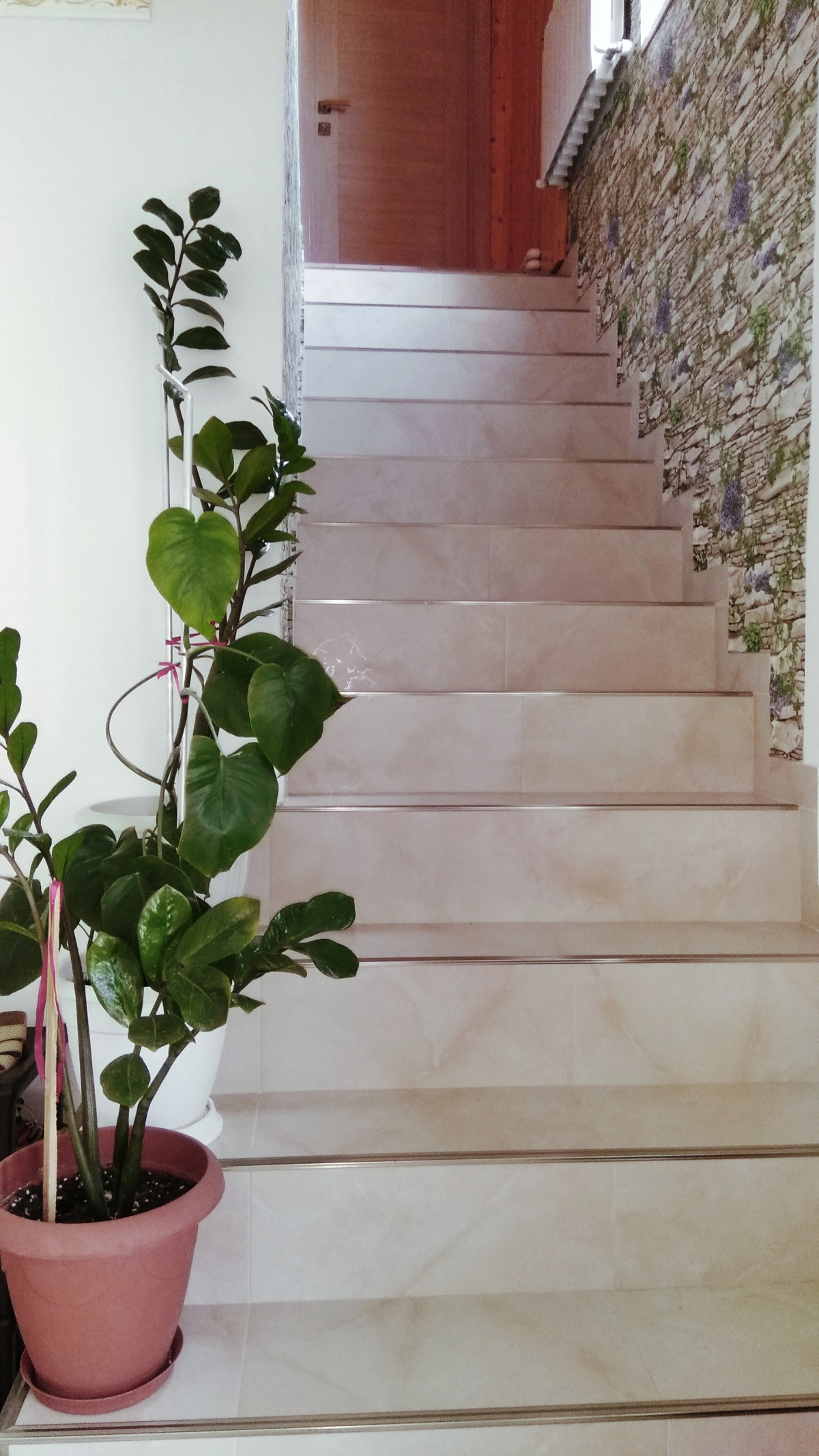 Гостевой Дом