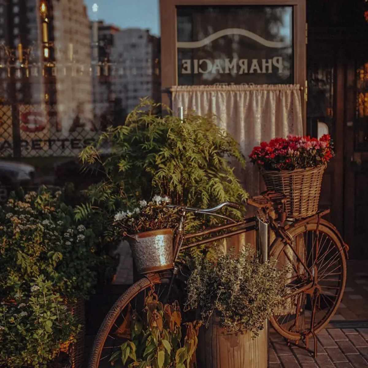 Апартаменты Делюкс Elite Apartments