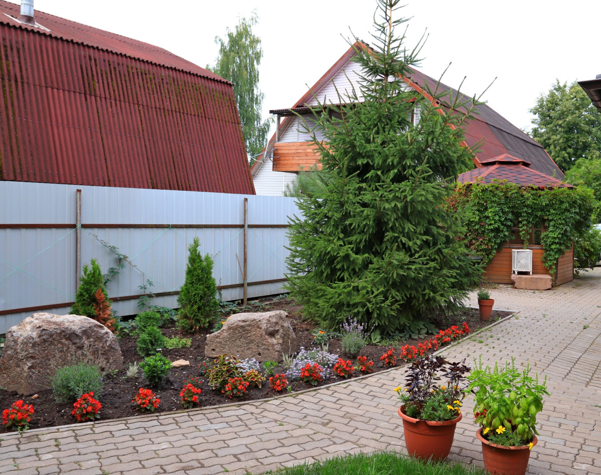 Гостевой дом Три Кота