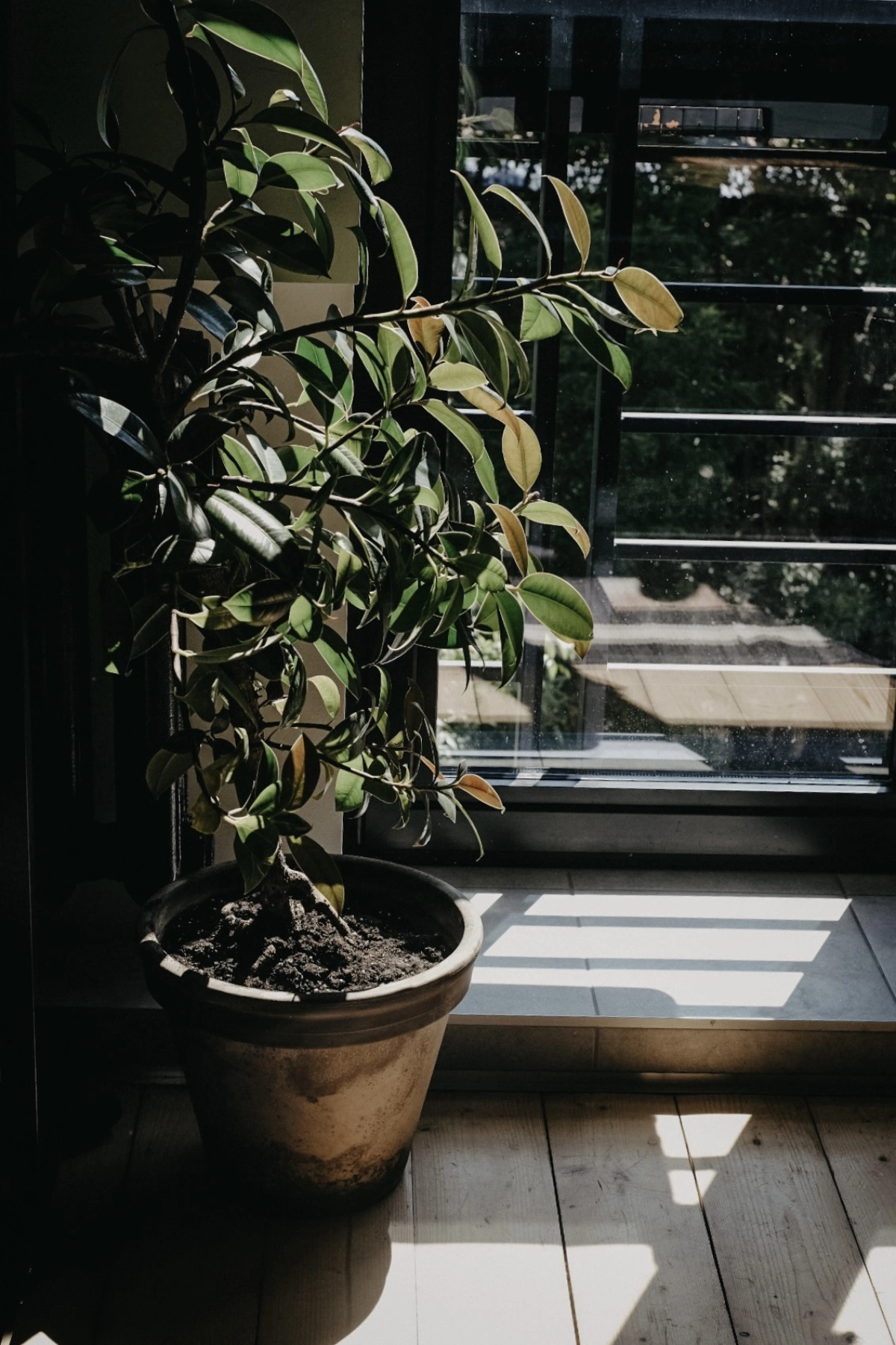 Квартира Студия в Самом Центре