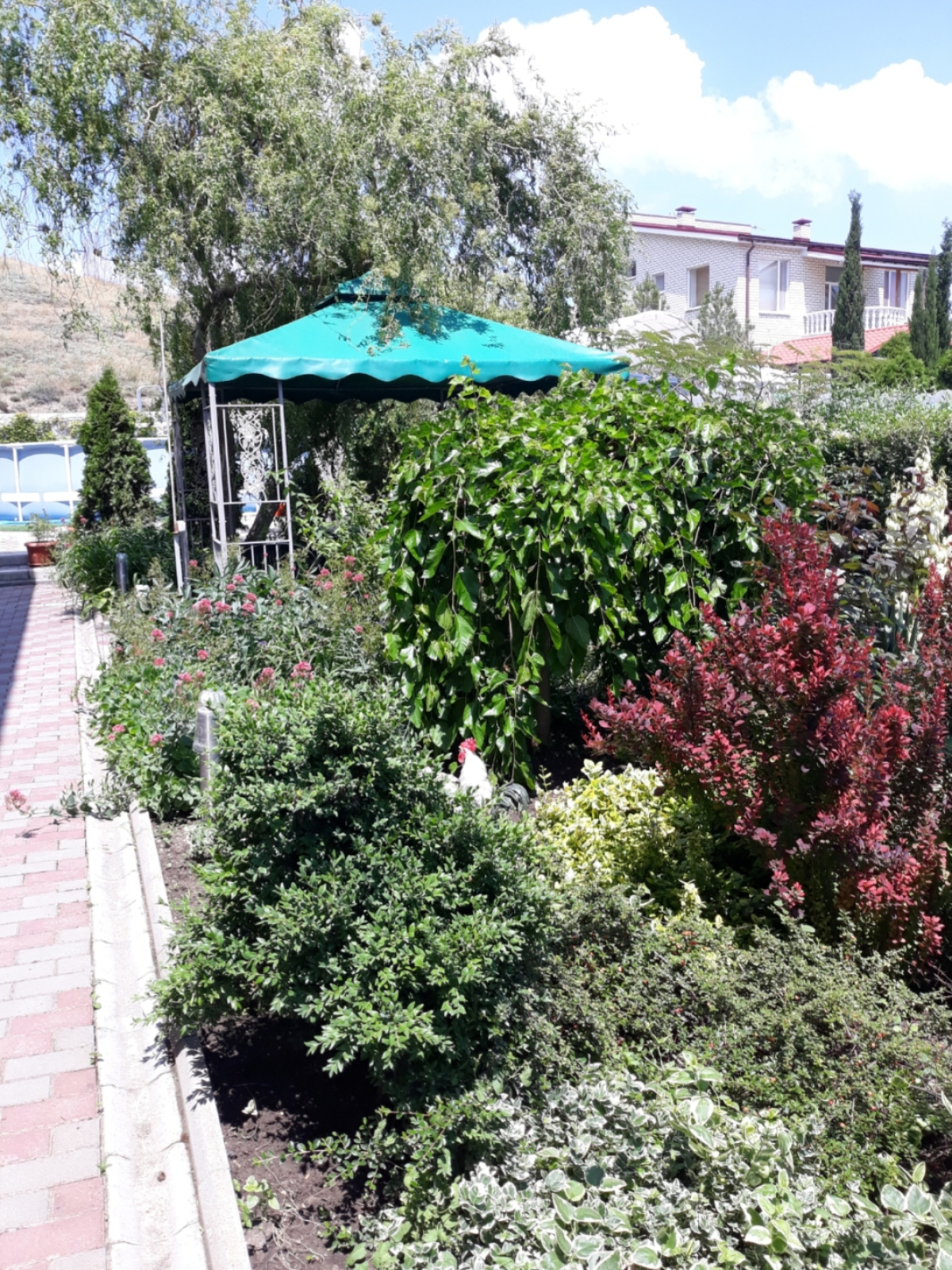 Гостевой Дом Канны