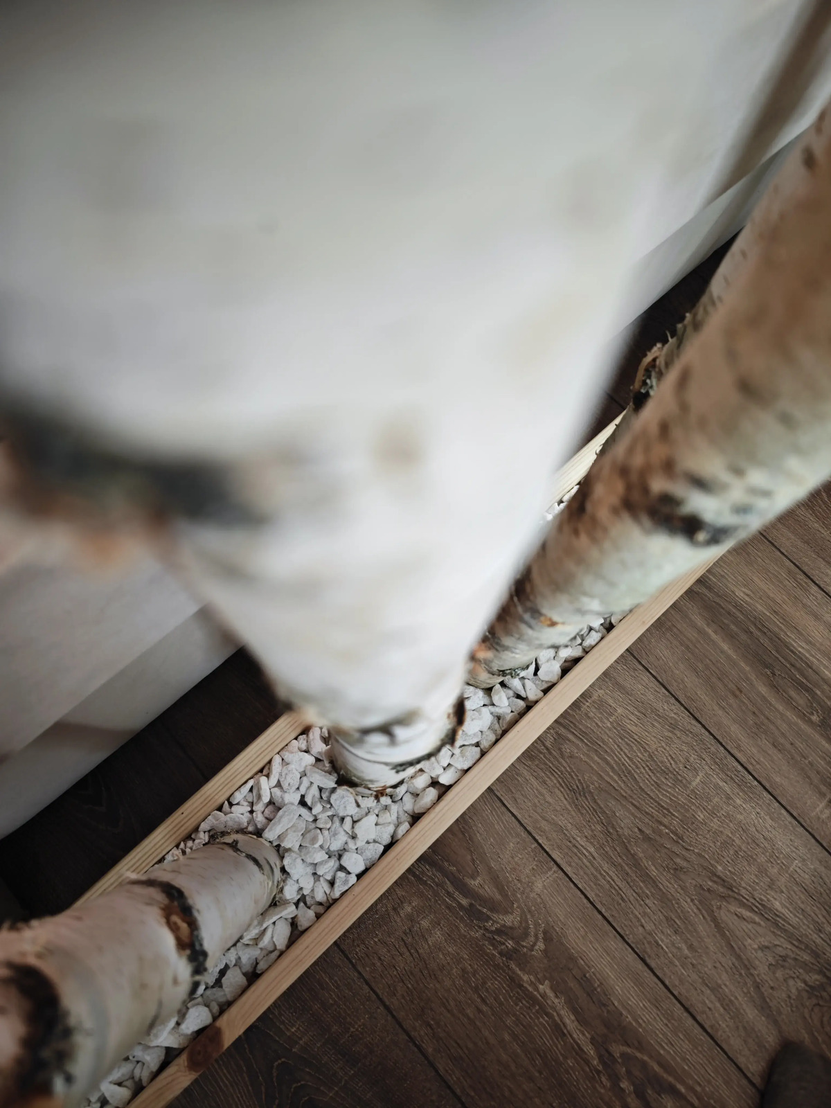 Квартира Уютная квартира у Красного Поля