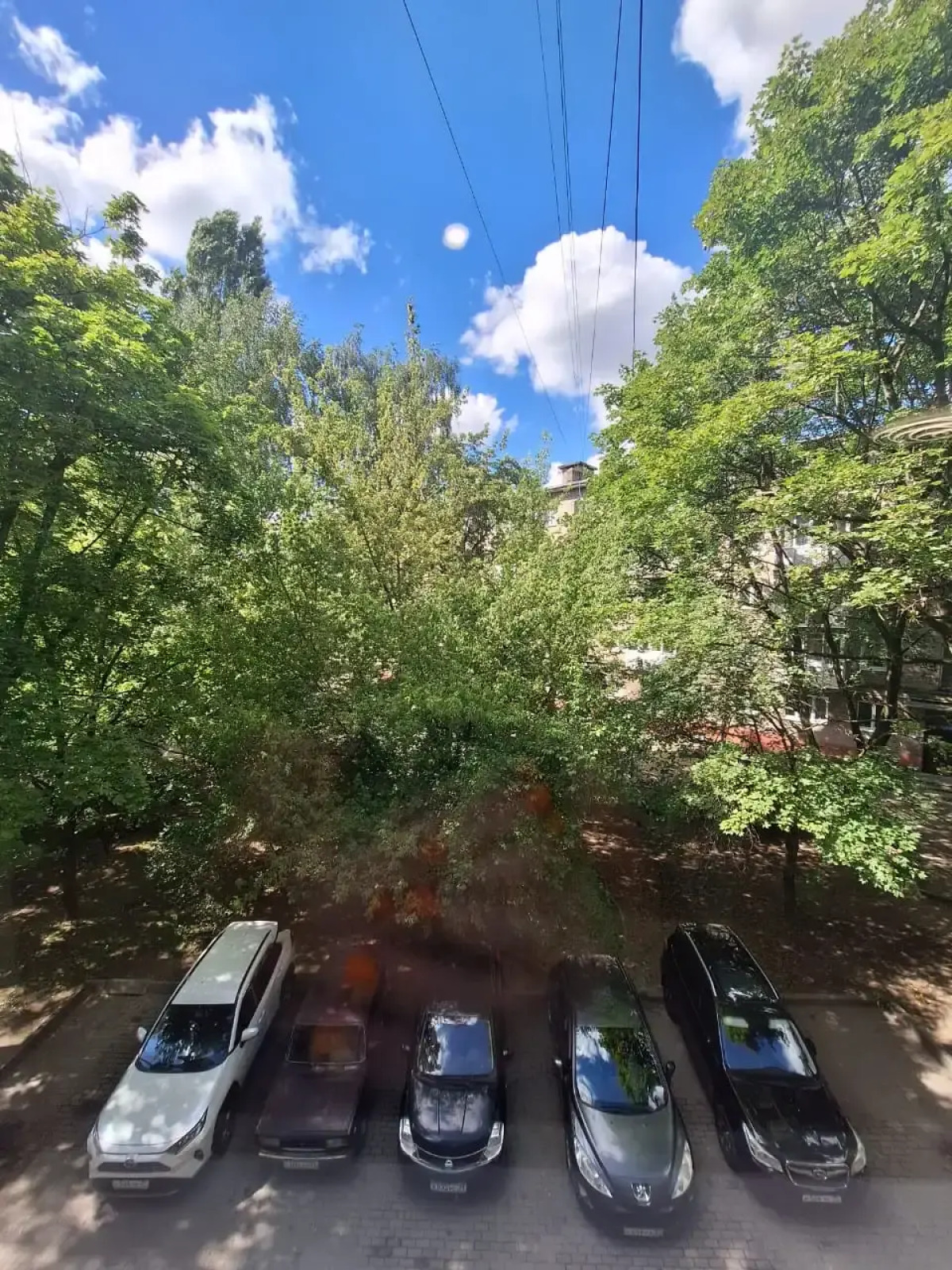 Квартира Шенбуш