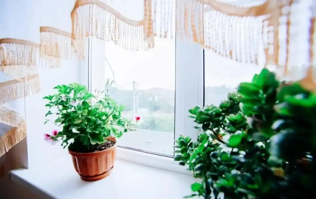 Отель Гостиница Кунеш