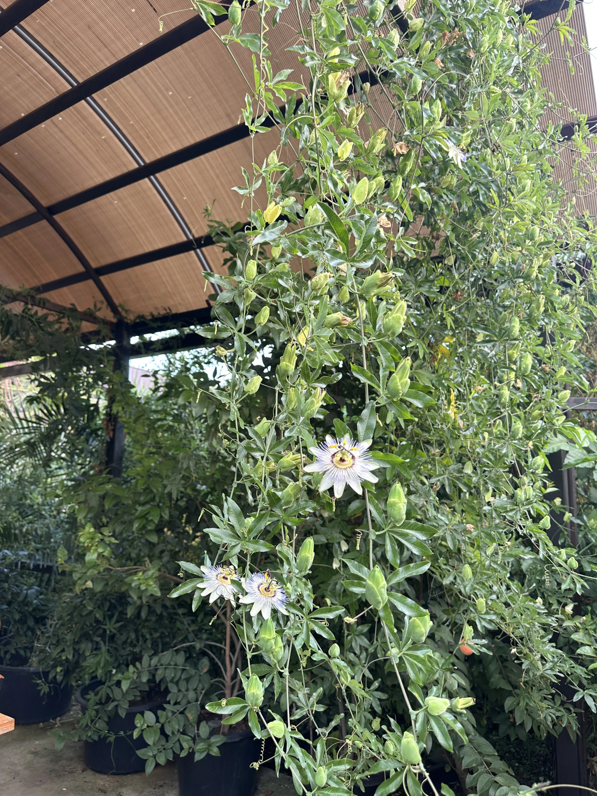 Гостевой дом Морская сказка