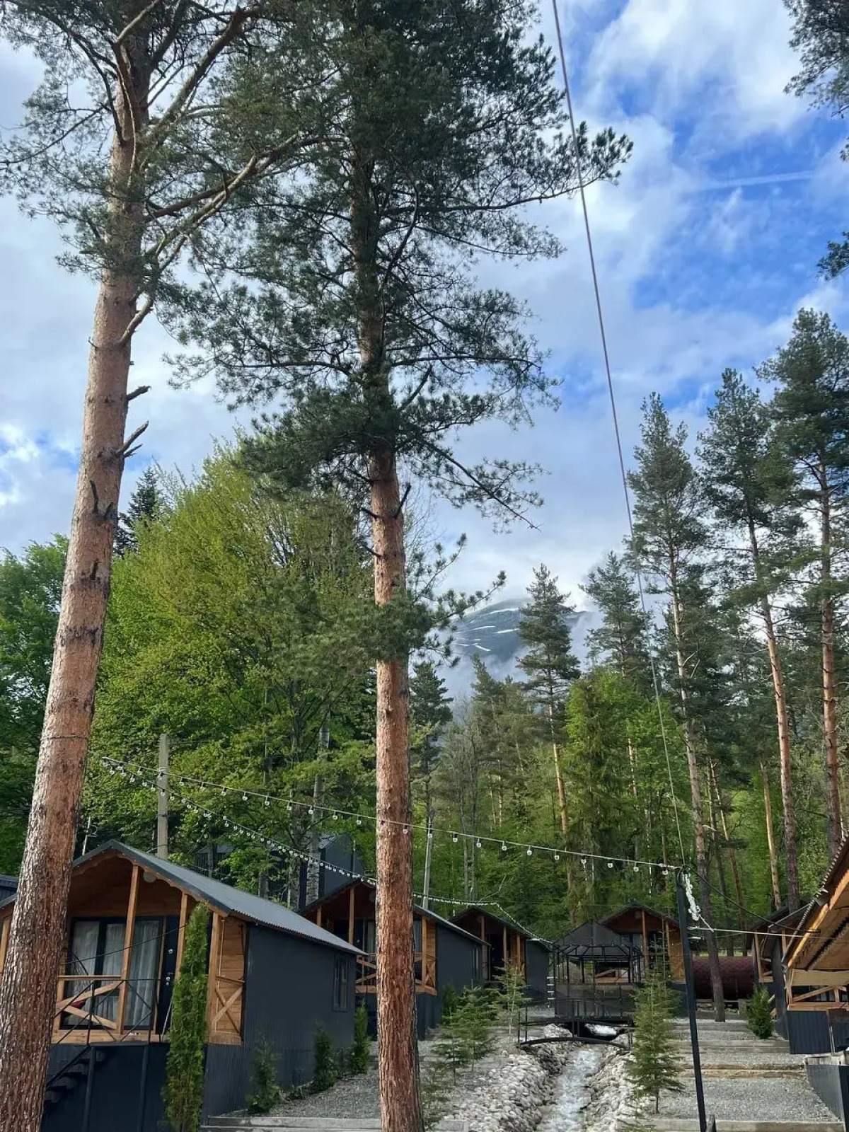 База отдыха Сосновка