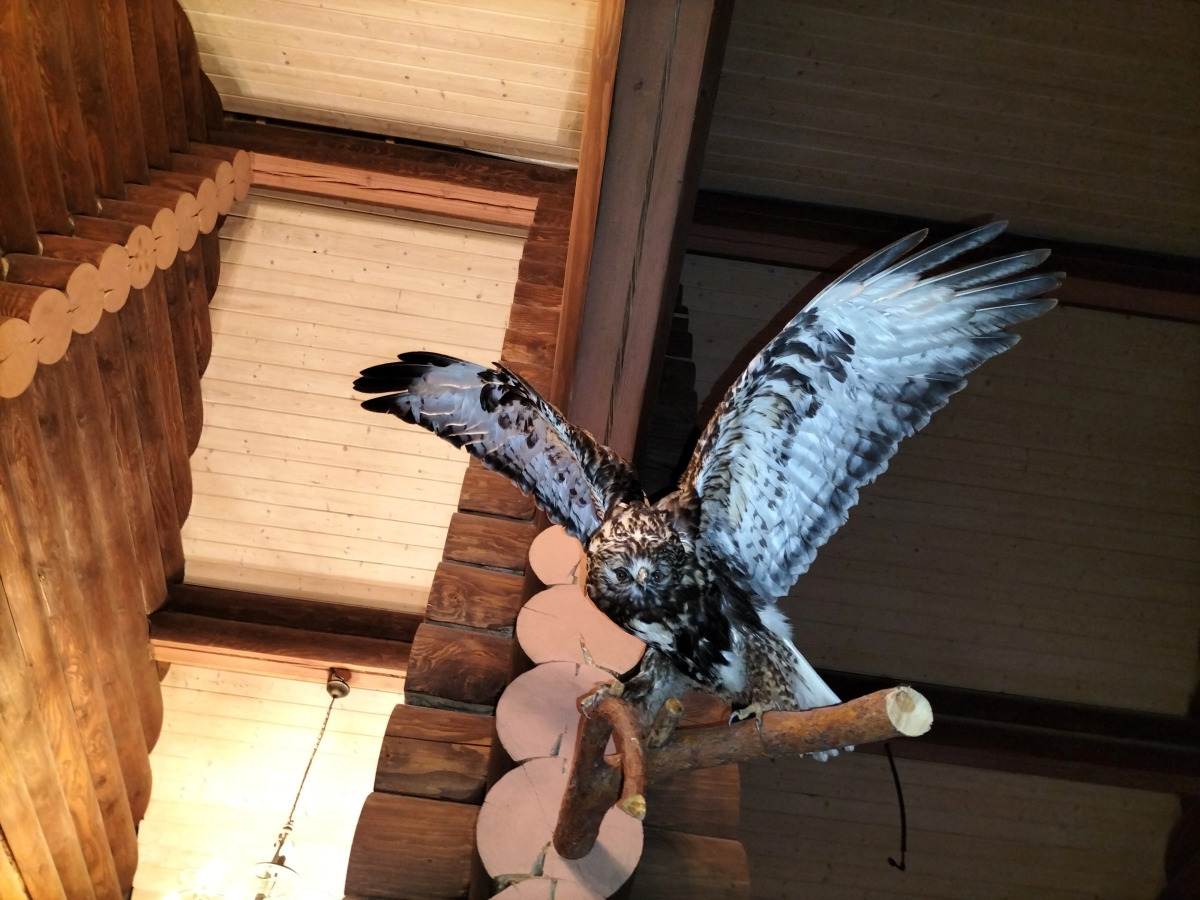 Гостевой дом Мышкин двор Барабановъ