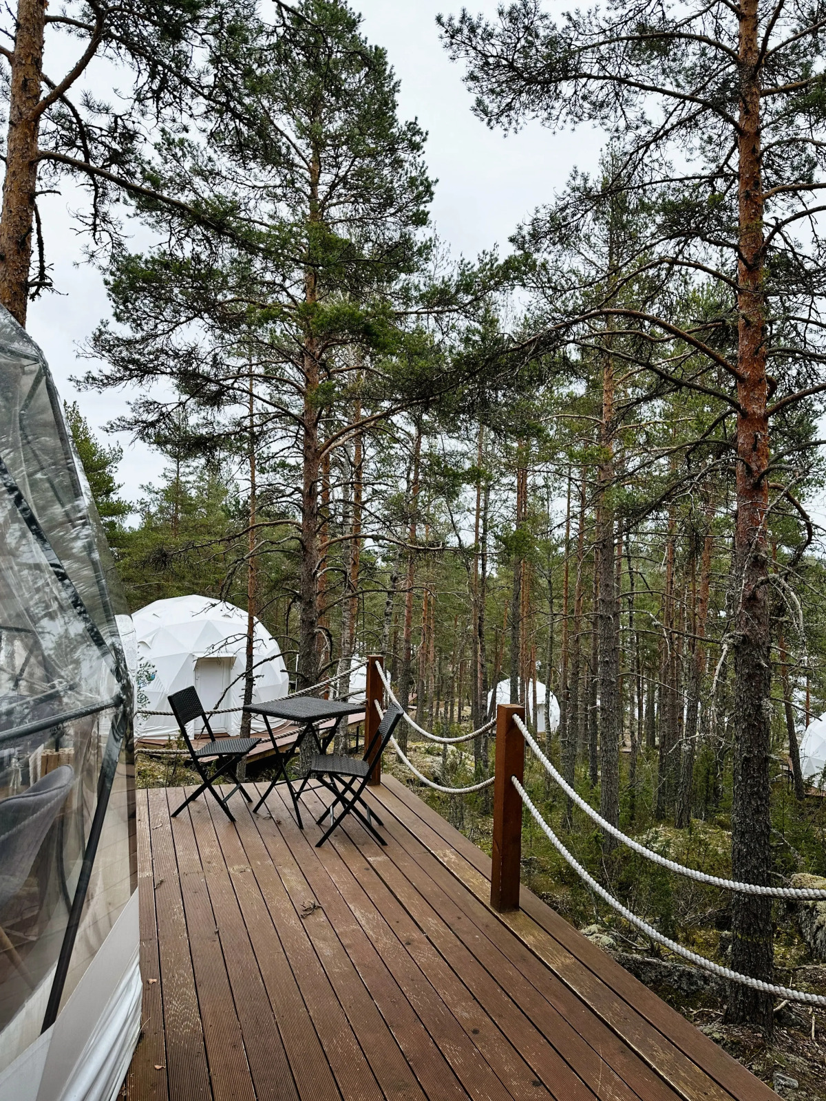 Глэмпинг Lago Ladoga