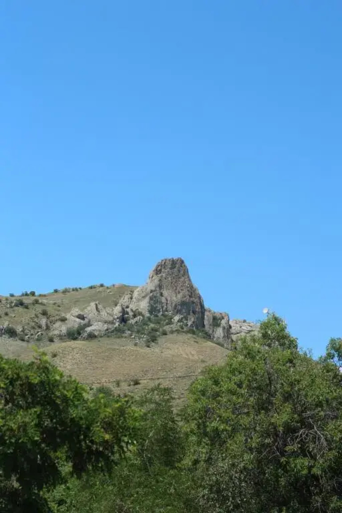 Апартаменты Авокадо 5