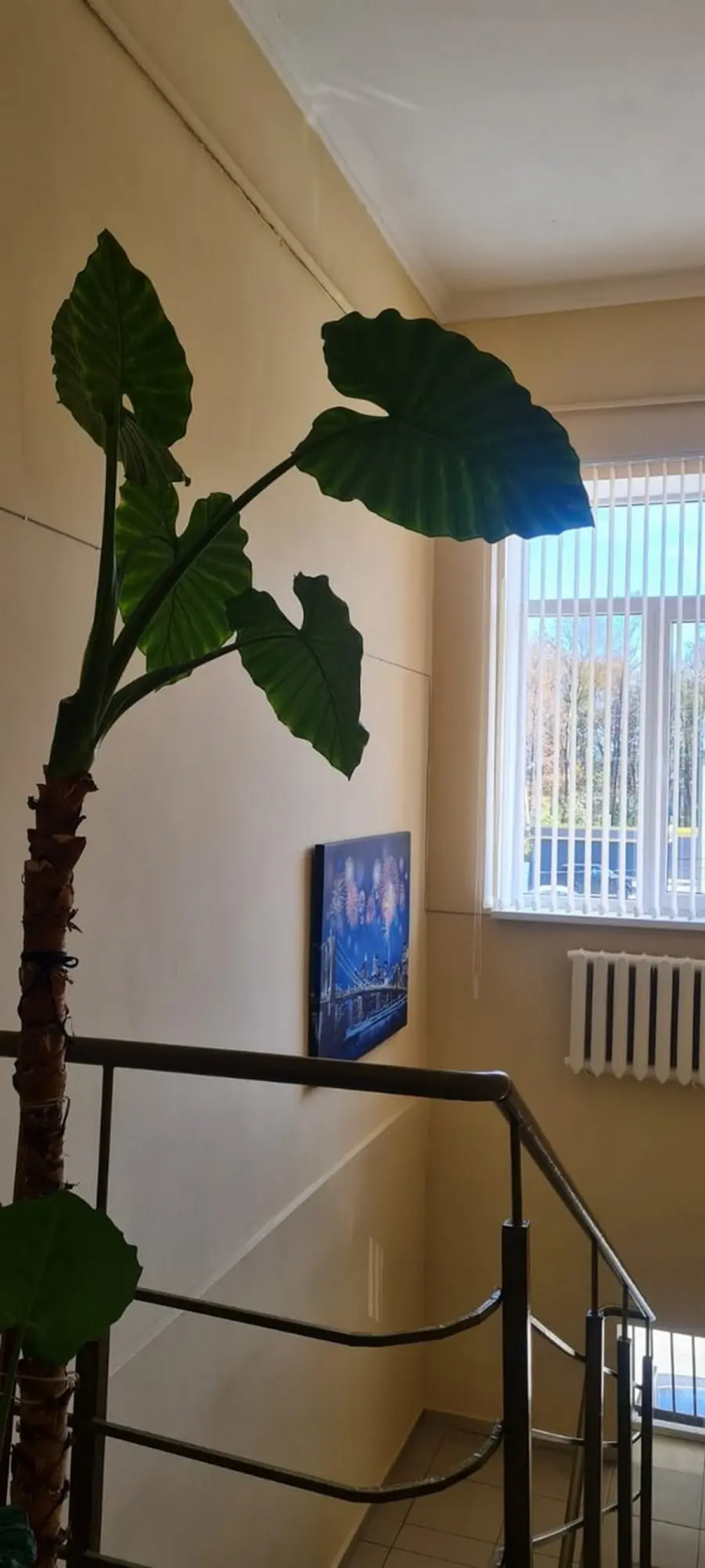 Гостевой Дом Алания