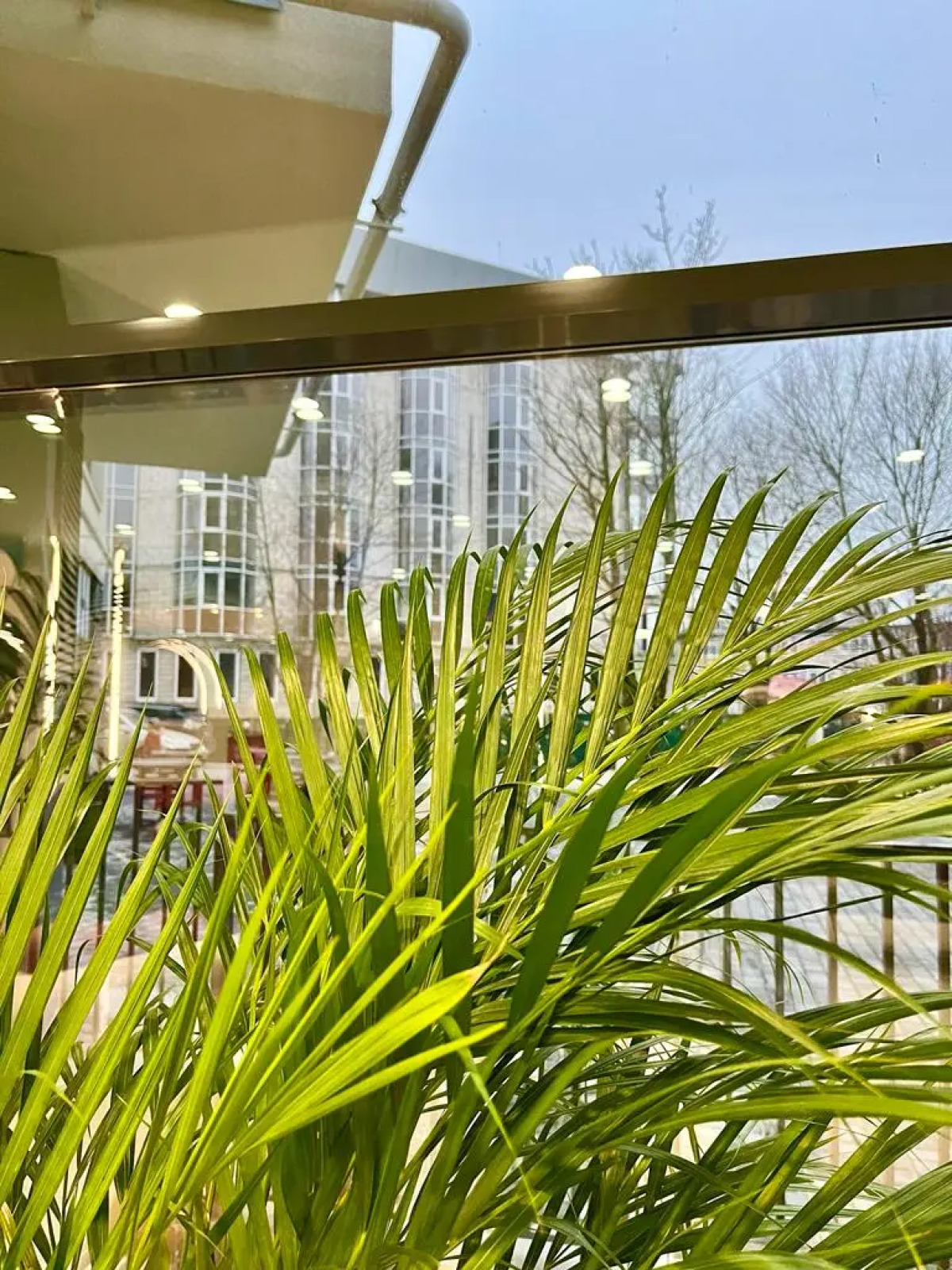 Апартаменты Баден 64 в комплексе Bellevue