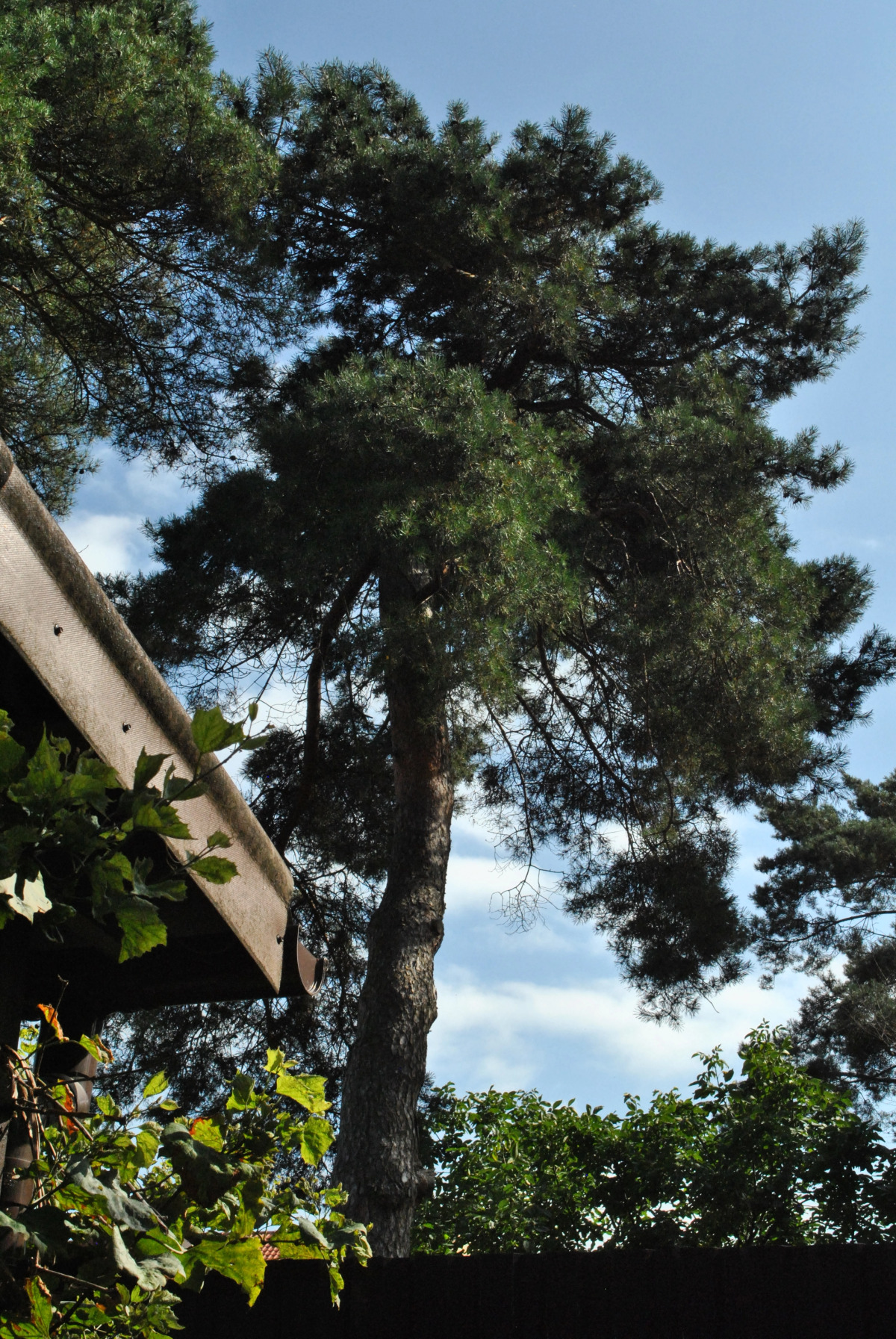 Гостевой дом На Взморье