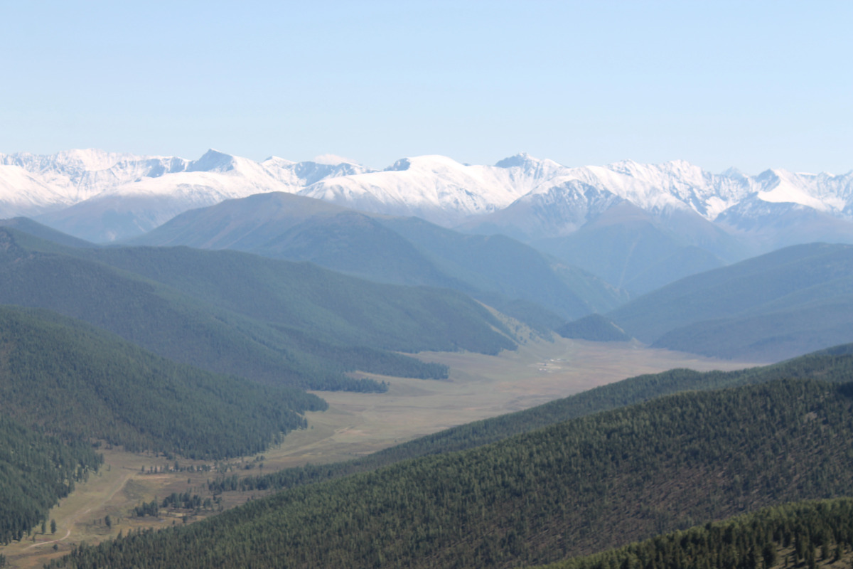 Отель Рыжий пёс