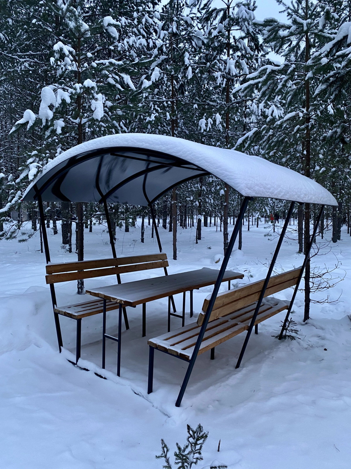 База отдыха Живой Ручей