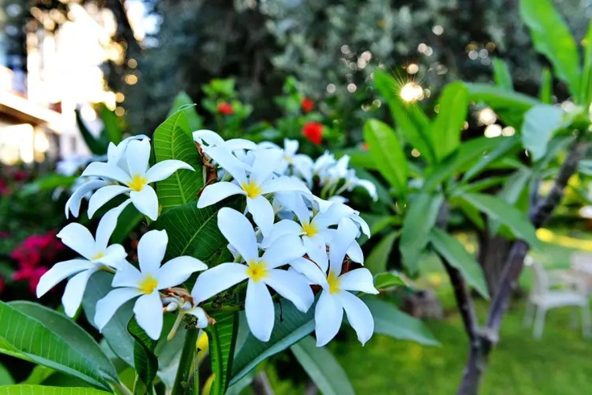 Отель The Ship Inn